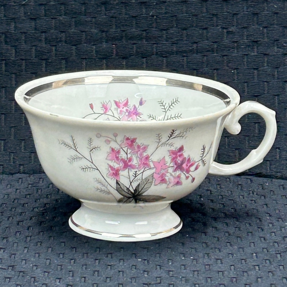 Karolina Poland China Teacup Pink Floral‎ Silver Trim Vintage Porcelain 3879 16